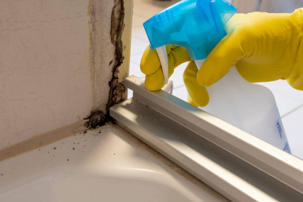 Best Mold Remediation for Specific Building Types in Fordyce, AR